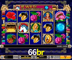 VIP Casino 66br